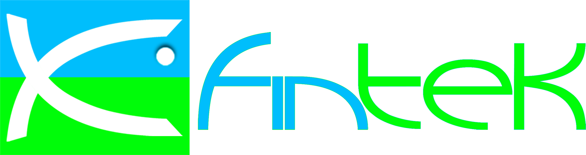 TFO – Fintek