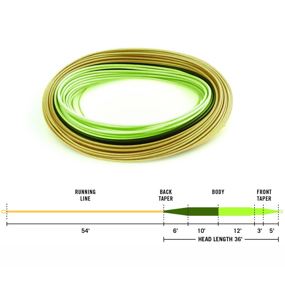 RIO Intouch RIO Perception Fly Line – Fintek